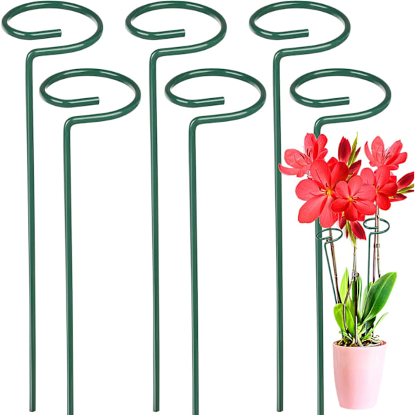 6-pack Blomsterplantstöd Metall Enstaka Stjälkstöd Trädgårdsstöd Amaryllis Orkidé Lilja Ros Tomater Mörkgrön