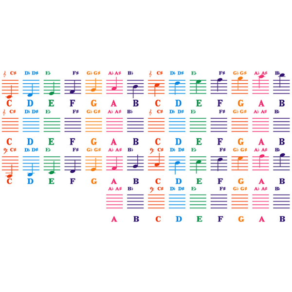 Genomskinliga klaviaturklistermärken 88 tangenter Avtagbar musik Dec Transparent