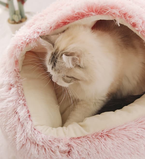 Halvtäckt fluffig bädd för husdjur khaki