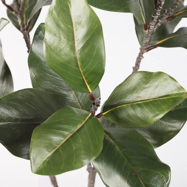 Konstgjord Magnolia Blomkvist Green 2pcs