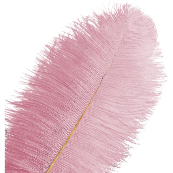 20 stk rosa strutsefjær Plumes 8-10 tommer (20-25 cm) Bulk til fest, påske, Gatsby-dekorasjoner
