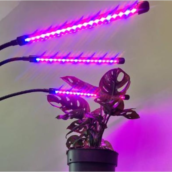 Justerbar dyrkningslampe - LED, Timer Sort