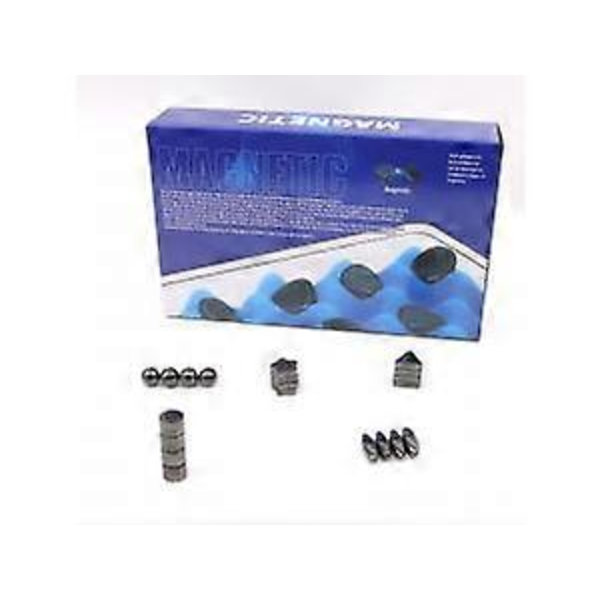 Magnetisk Sjakkspill - Innovativt Brettspill med 20 Magneter for Barn og Voksne