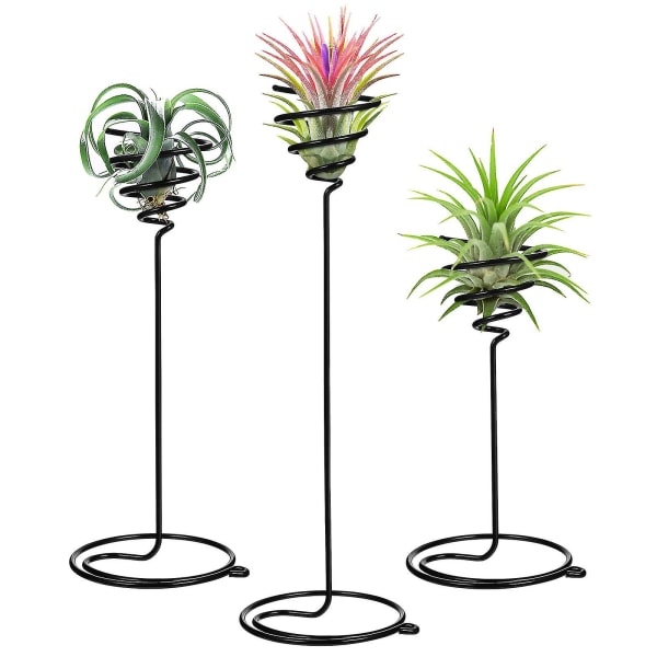 3pcs Tillandsia Stands Air Plant Holders Spiral Flower Displaying Stands Desktop Tillandsia Holder