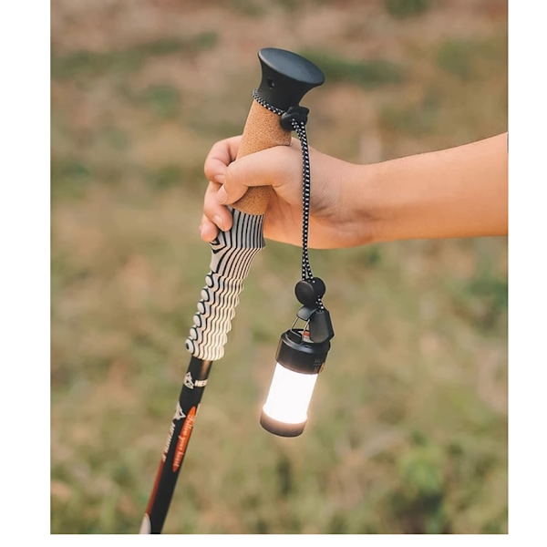 Trekking Pole Fastening Strap