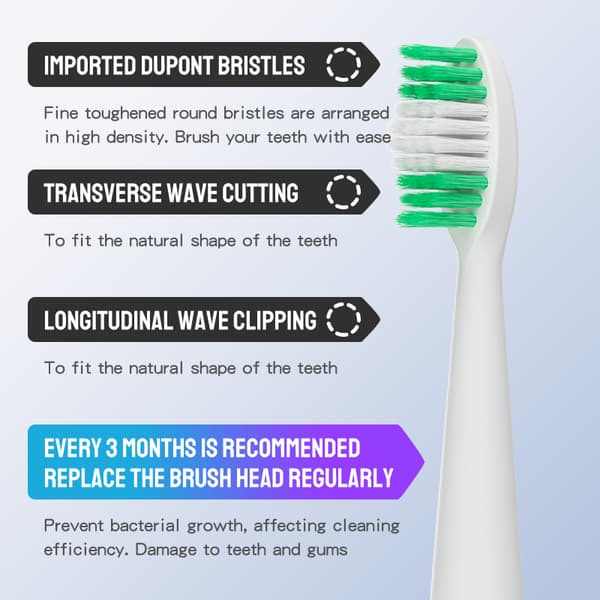 Electric Toothbrush with Wall Mount Black