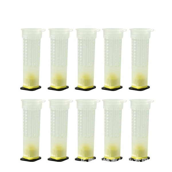 10-pack Biuppfödningskopp Kit Drottningbur Rulle Bi Biuppfödare Verktyg Utrustning