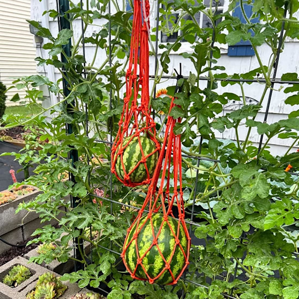 Melon hängmattor vaggor, 5 paket nät för meloner, perfekt för odling av kantaloup, vattenmelon i vertikal trädgård (orange)