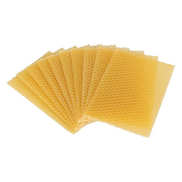 Bivoksplader Bivoksfundamentplader Voksfundament til bierammer Naturlige honeycomb-plader Bier