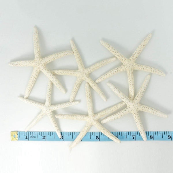 12 stk Hvite Fingerstjerner 5-10cm Dekorative fem-fingerstjerner