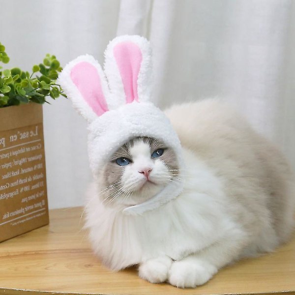 Bunny Ears Kostyme Katt Hodeplagg Hold varmen Dyretilbehør Liten hundekattunge，2stk