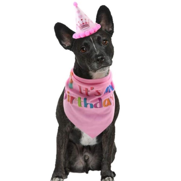 Hundfödelsedagssnusnäsduk, födelsedagshatt för hund, set för hund, födelsedagspresent för husdjur. (rosa)
