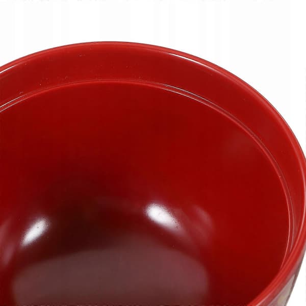 Udon Soppskål Koreansk Ris Japansk Frukt
