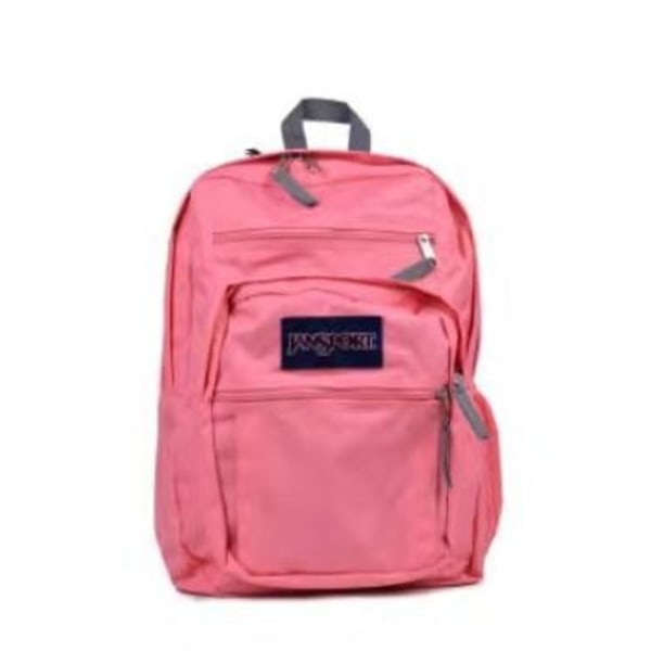 JANSPORT computer backpack, student backpack, school bag