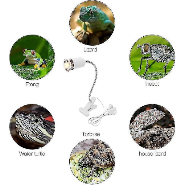 Varmelampe, Skildpaddevarmepære Varmeemitterende Lampe, 3 Uva Uvb Pærer 25w, 50w Og 75w, Og Vandtank Temperaturtester