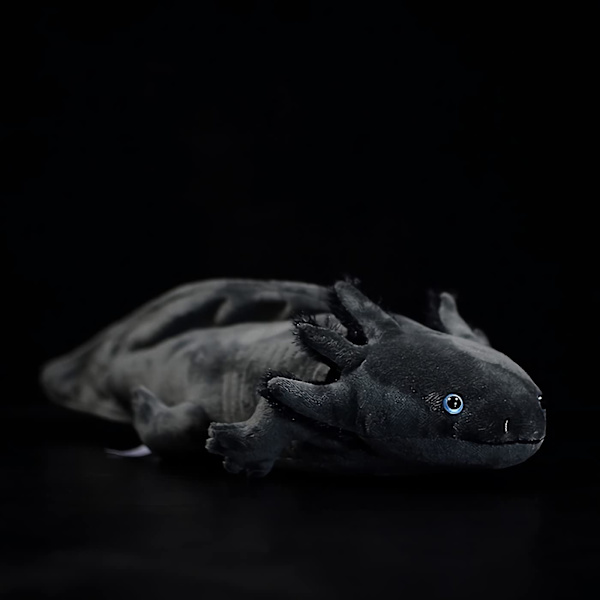 SSRGV 19,6 tum simulerad axolotl plyschleksak Kawaii mjuk stoppad djur axolotl plyschkudde docka (svart)