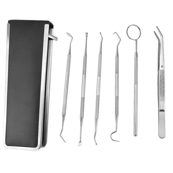 Oral Care Tool Set - Dental Tools (6 delar, hölster) YIY SMCS.9.27