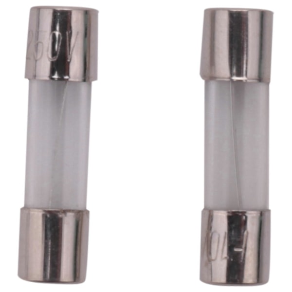 10 kpl 250V 10A Hidaspuhallus Aika Viive Lasisuojat Putket 5mm x 20mm