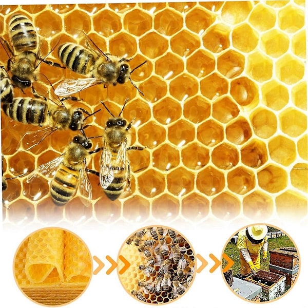 Bivoksplader Bivoksfundamentplader Voksfundament til bierammer Naturlige honeycomb-plader Bier