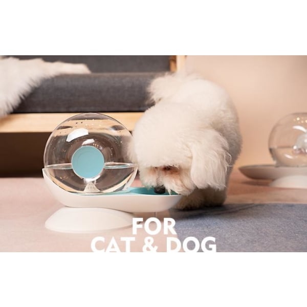 Katt och hund vattenfontän transparent 2,8L 1PC blå