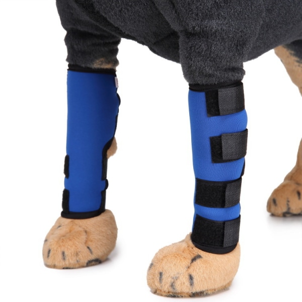 Knestøtte for kjæledyr med støttestang kirurgisk sårdeksel (blå, L)