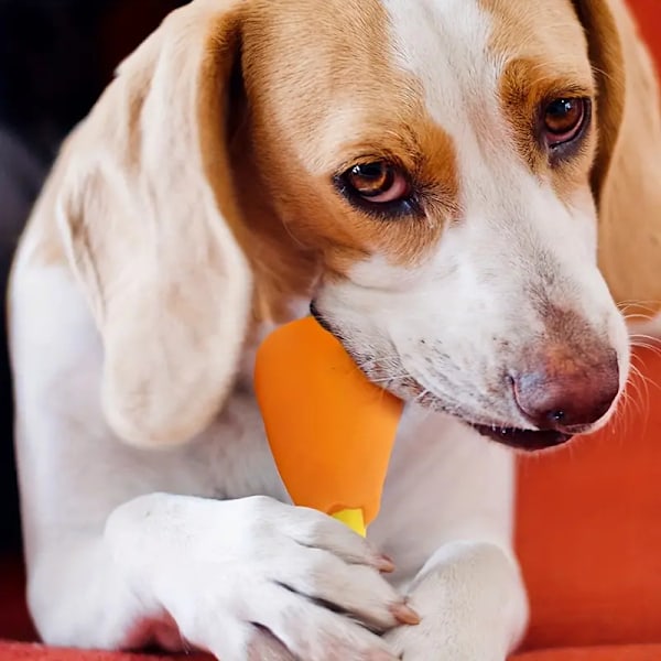 Kycklingbensdesign Hundtuggleksaker, Tuffa Pipiga Hundleksaker Som Slipar Tänder