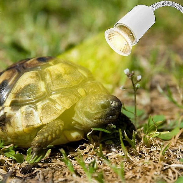 Varmelampe, Skildpaddevarmepære Varmeemitterende Lampe, 3 Uva Uvb Pærer 25w, 50w Og 75w, Og Vandtank Temperaturtester
