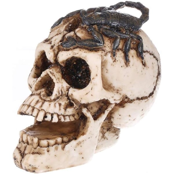 Scorpion Skull Realistic Human Skull Resin Statue Hoved Skeleton Graveyard of Craniums Figur