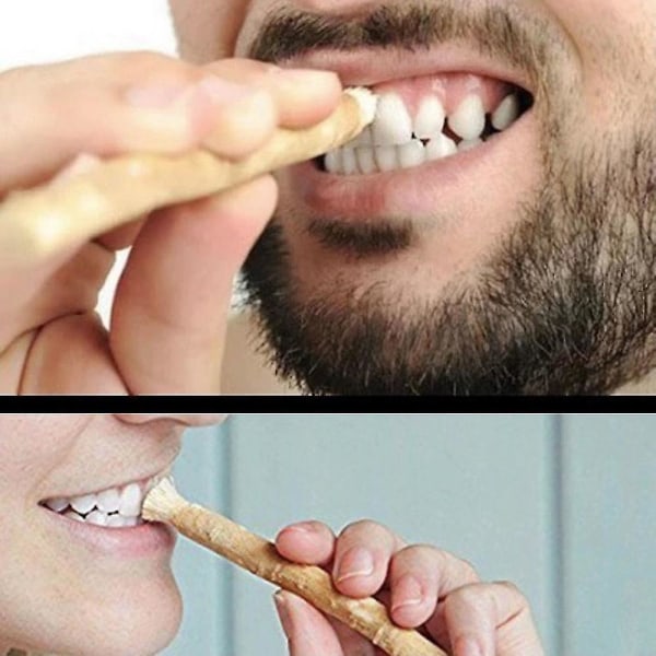 Miswak Tand Stick Twig Tandborste Gammal metod för att rengöra tänder Autentiska arabiska växter