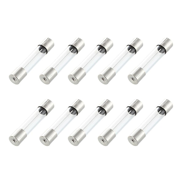10 stk. hurtigsmeltende glasrørsikringer 6x30mm 250V 10A