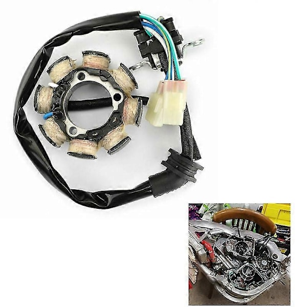 Motorcykel Generator Stator Spole Komp för CRF250 CRF250R 2004-2009 CRF450R 2005-2007 31120-KRN-670