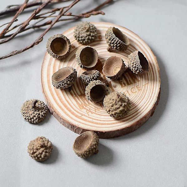 100 st Naturliga Ekollon Riktiga Rustika Ekollon Toppar Dekorativa Vasfyllningar Hem DIY Jul Kök Höst Bordsspridning Fotorekvisita, Naturliga Ekollon Toppar