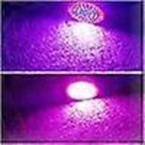 7W GU10 80LED Plantelampe Plantelys Indendørs Planter Grøntsager Blomster Vækstlampe Gro Lampe