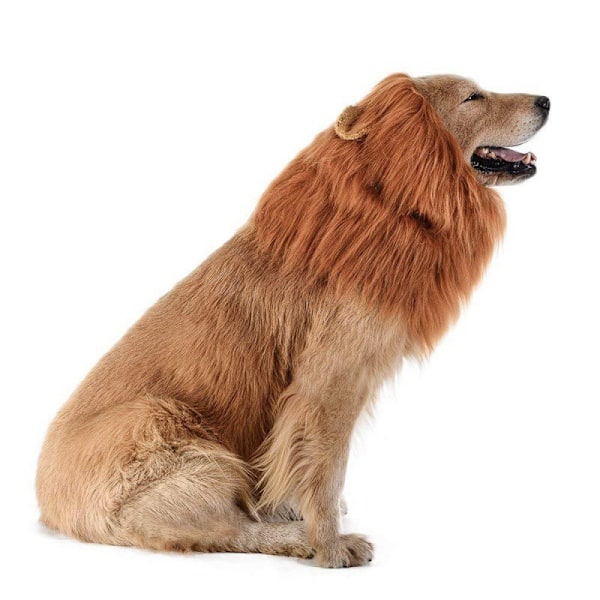 Lejonman för hund - Realistisk och rolig lejonman för hundar - Kompletterande lejonman för hundkostymer