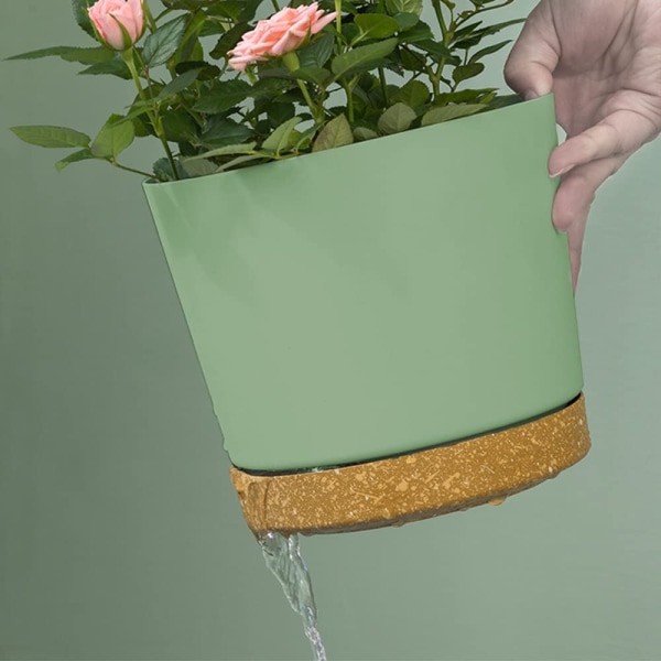 Blomsterpotteplasthane med drænhul Pantopdiameter 19,5