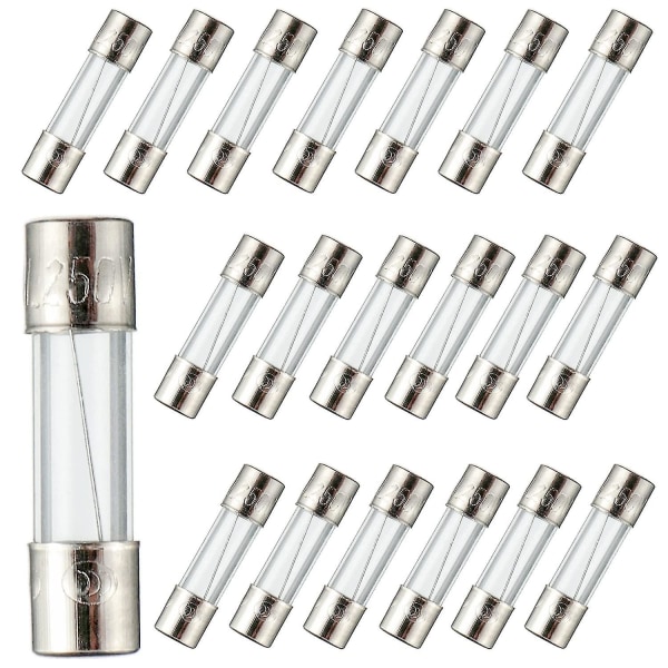 F10al250v 5x20 Mm 10a 250v Fast Blow Fuses 10 Amp 250 Volt 0.2 X 0.78 Inch Glass Tube Fuses (pack Of 20 Pieces)
