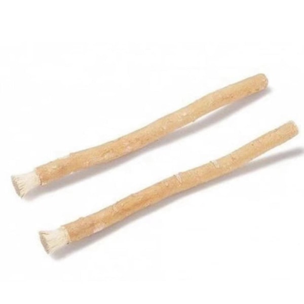 Miswak Tooth Stick Twig Tandbørste Gammel metode til rengøring af tænder Autentiske arabiske planter