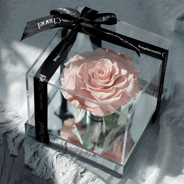 Jumbo Rose konserverad blomma akrylband presentförpackning