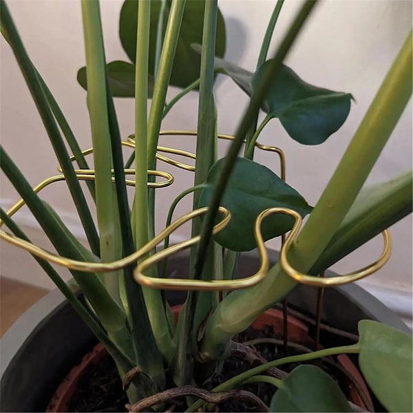 Monstera-formad växtstöd Återanvändbart Robust Legering Växtstjälksstöd Hållare Växtbevarande Stöd Kryddväxter Grönsaker B