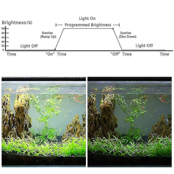 Akvarie Lys Controller 4 Tilstande Solopgang Solnedgang Akvarie Dimmer LED Lys Til Fisketank Lampe Timer Hs