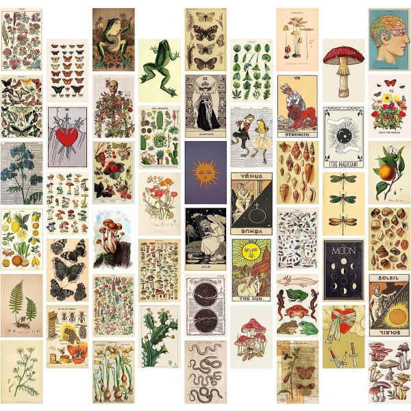 50 Vintage Plant Wall Collage Veggdekor kunstplakater