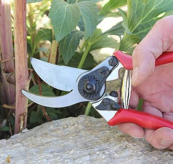 Rustfrit silkeorm fjeder beskærerspring - 6 cm, 5 stk
