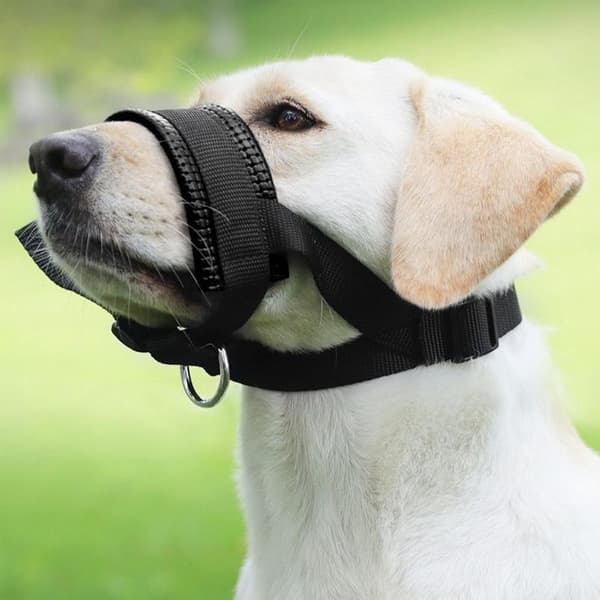 Dog Muzzle Nose Comfortable Adjustable Nylon Dog Muzzle Anti-Bark and Anti-Bite Muzzle Thickened Anti-Intake Dog Muzzle Suitable, Black