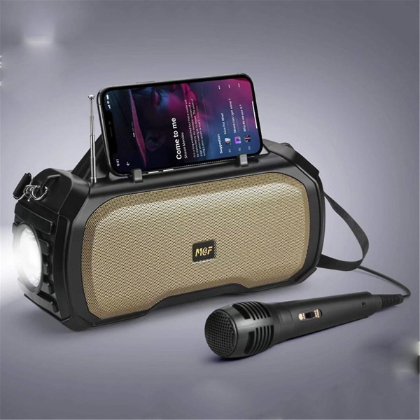 Bärbar Bluetooth högtalare med solladdning FM-radio Karaoke med mikrofon Utomhus nödficklampa Högeffekts trådlös högtalare Subwoofer