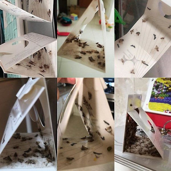 10 stk møllfeller for å drepe fluer og møll nemesis husholdning små insekter artefakt rismelmøll klebrig rismelmøll knottmøllfelle
