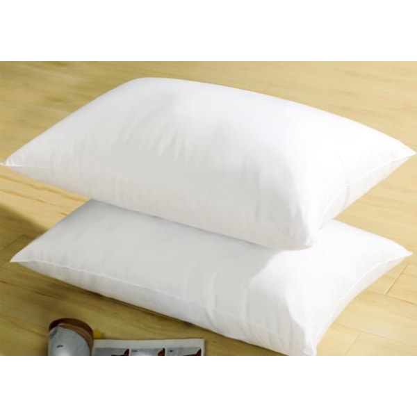 2pcs Microfiber Pillow Set (White, 45*70cm)