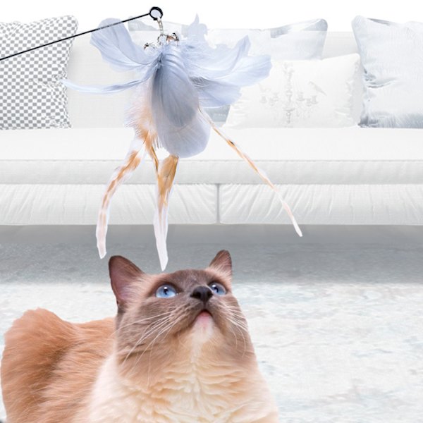 Sugkopp Design Fast Cat Teaser Grå