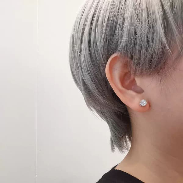 1 Pair Versatile Round Zircon Silver Earrings
