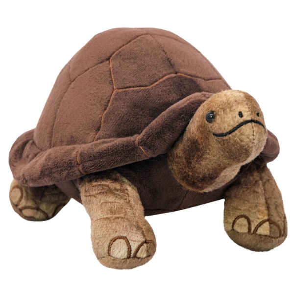 Jättesköldpadda Teddy Allt om naturen