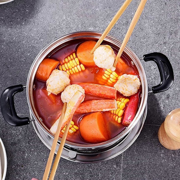 Spis för inomhusbruk, spritkök i rostfritt stål, portabel spis, lätt att bära, inget behov av ström, lämplig för inomhusbruk och camping